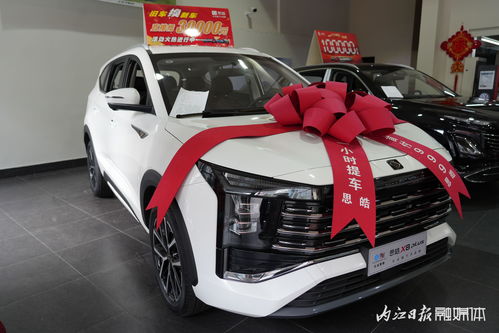 內江第三十三屆汽車文化周盛大啟幕，內江市宇良汽車銷售攜江淮、思皓等實力車型驚艷亮相